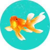 Fish Zithro