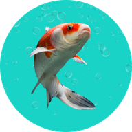 Fish Mino