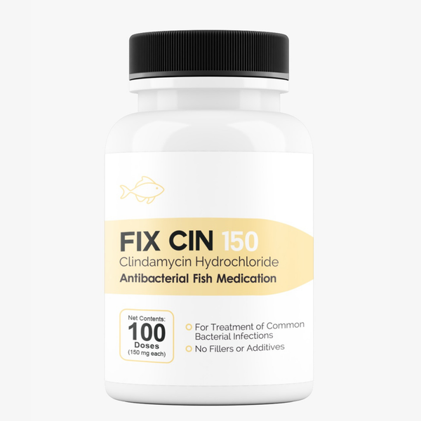 Fish Clindamycin 150mg 100 Capsules