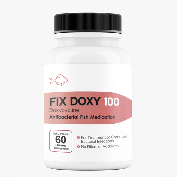 Fish Doxycycline 100mg 60 Capsules