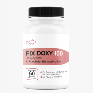 Fish Doxycycline 100mg 60 Capsules