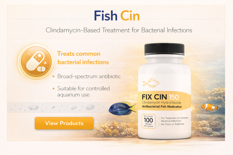 Fish Clindamycin 6