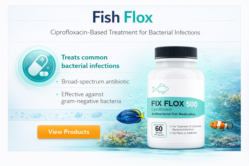 Fish Ciprofloxacin 5
