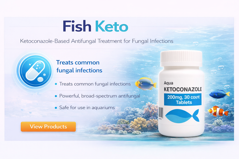 Fish Ketoconazole 9