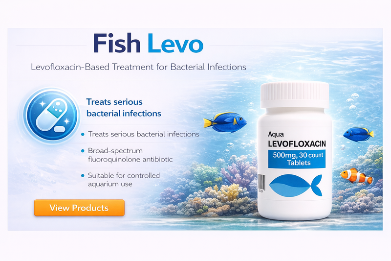 Fish Levofloxacin 10