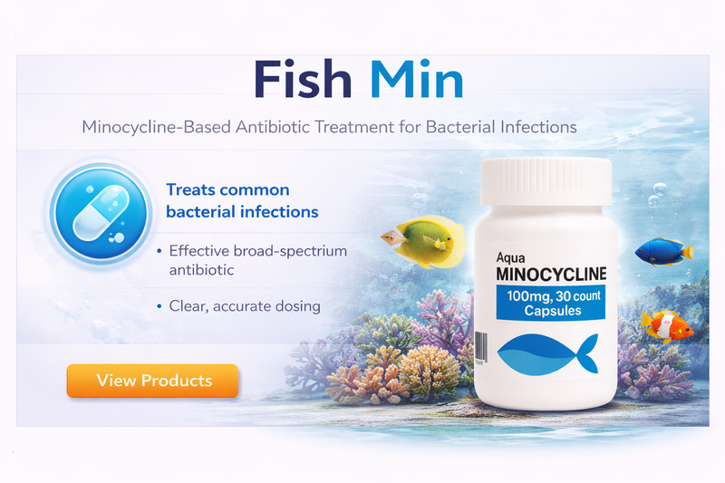 Fish Minocycline 12