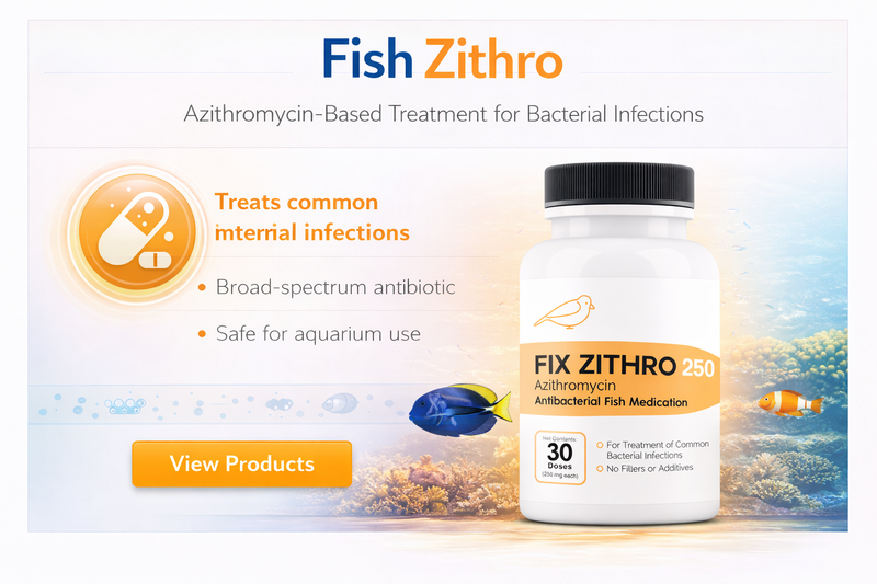 Fish Azithromycin 3