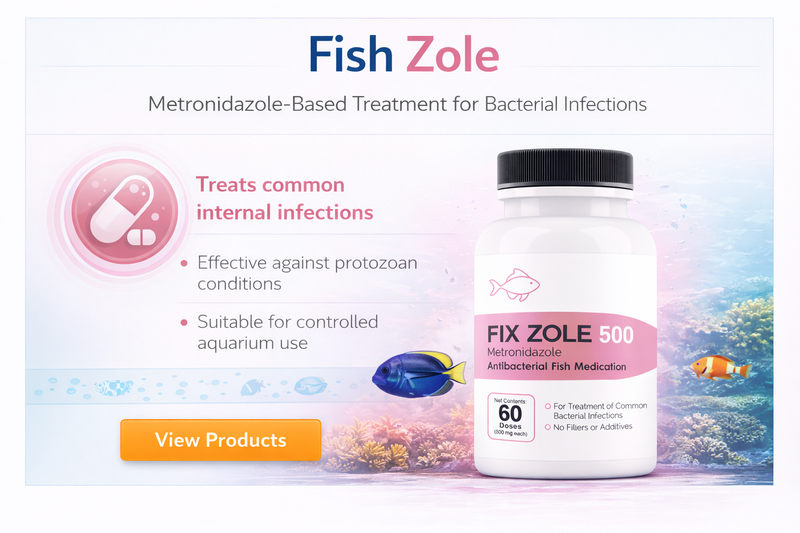 Fish Metronidazole 11