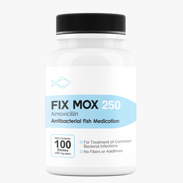 Fish Mox 250 Amoxicillin