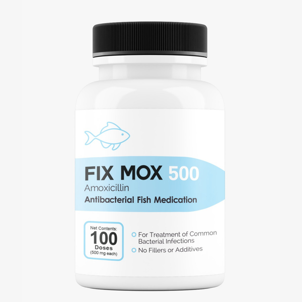 Fish Mox 500 Amoxicillin