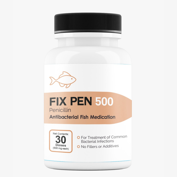Fish Penicillin 500mg 30 Tablets 