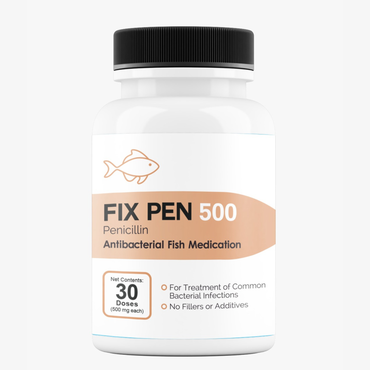 Fish Penicillin 500mg 30 Tablets 
