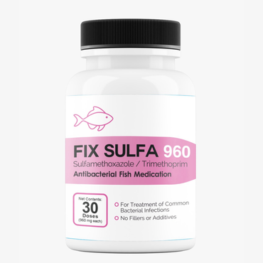 Fish Sulfa 960 mg 30 Tablets