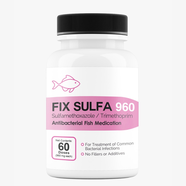 Fish Sulfa 960mg 60 Tablets 