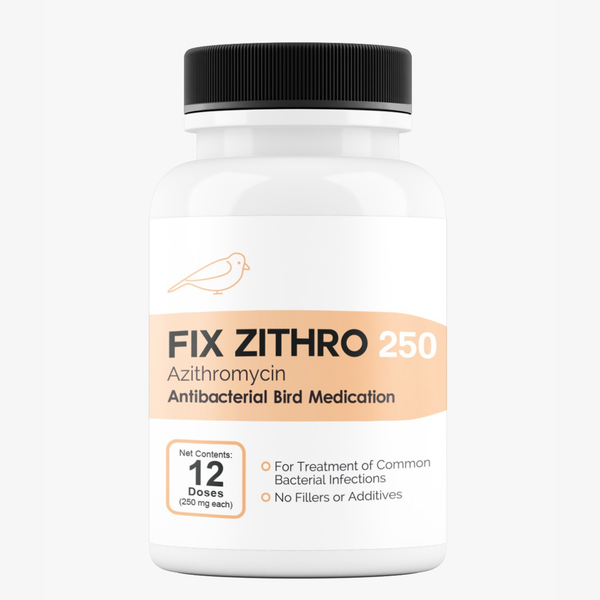 Fish Azithromycin 250 mg 12 Tablets