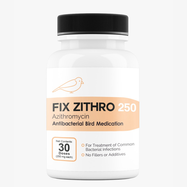 Fish Azithromycin 250 mg 30 Tablets